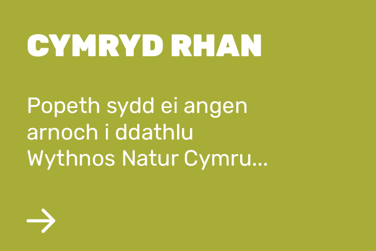 Cyflwynwch ddigwyddiad i’w gynnwys yn Wythnos Natur Cymru 